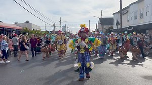 Yo! It’s officially mum season, which means it’s also football season! How ‘bout them birds?! 🦅 We celebrated their first win in Wildwood, NJ yesterday with the Eagles fight song. Sing along! #Eagles #FlyEaglesFly #gobirds | Avalon String Band