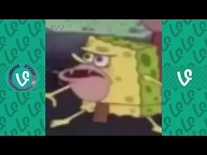Dank Memes Vine Compilation June 2016