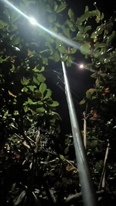 DAY1 PAGDATING NG MGA GAMIT KO PARA LATAG NAPBOX, ZERO IDEA PA AKO. | Yamuas TV official