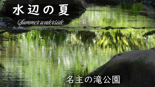 【Views】3201『水辺の夏【2025】名主の滝公園』3分54秒 | VIDEO SALON.web | 映像制作・動画編集のための月刊誌ビデオサロンが運営するWebマガジン