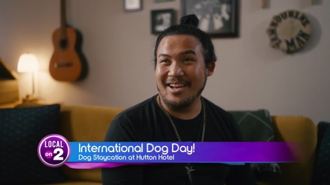 International Dog Day: Hutton Hotel's Pet-Friendly Experience