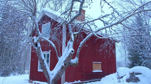 Planning the Future of My Scandinavian Cabin