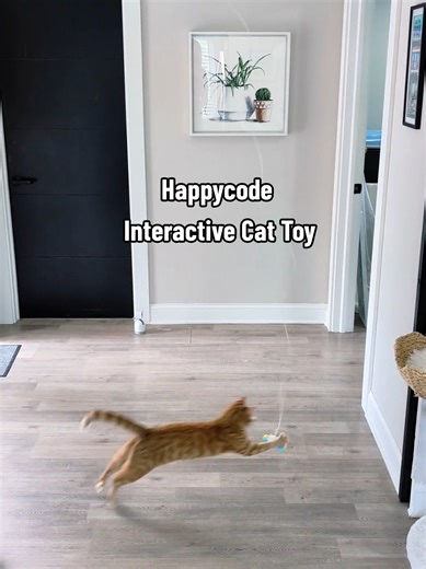 Discover the Happycode Interactive Cat Toy