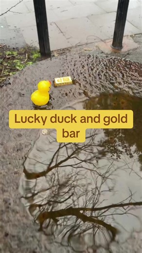 Lucky Duck and Gold Bar Adventure
