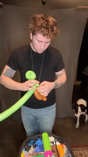 Balloon animal turtle. #balloonanimal #balloontwisting #balloontwister #balloons #turtle