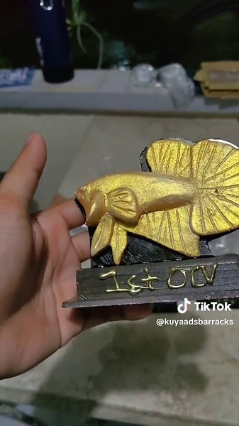 Betta Show: The Ultimate Competition for Pet Fish Enthusiasts