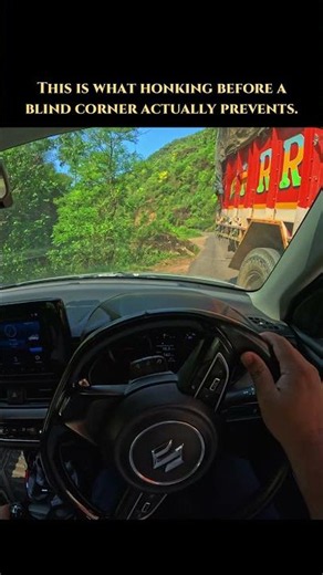 This Is What Honking Before a Blind Corner Actually Prevents 🏔️