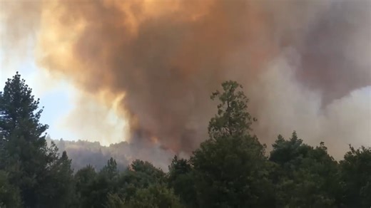 A spring relocation trend driven by climate fears