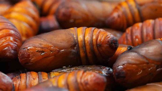 From rotten to still moving - the most disturbing foods on Earth