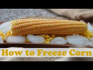 How to Freeze Corn for Long-Term Storage