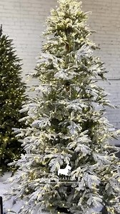 2.3K views · 17 reactions | We’re obsessed with the magic that our Diamond Cascade lights add to your Christmas tree! Click this link to shop!!朗✨ https://www.ambermarieandcompany.com/diamond-cascade-lights-warm-white-twinkle-832l-8-f.html #ambermarieandcompany #diamondcascadelights #ambermarieandco #christmastree #christmass | Amber Marie & Company | Facebook