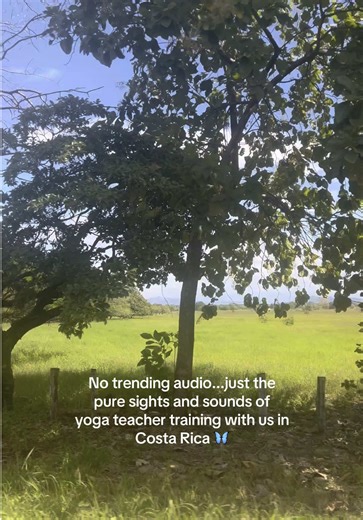 If you're ready to dive deeper into your yoga practice, and experience the sweet reset of being enveloped by the jungle and ocean, this is your sign to join us in Costa Rica for the adventure of a lifetime with @sama.yoga.house 🦋 You'll be welcomed into an immersive experience that offers daily yoga, philosophy, meditation, reflection, anatomy, and practice teaching set against the backdrop of Costa Rica's breathtaking landscapes. 🌴 We'd love for you to be a part of this epic journey at the mo