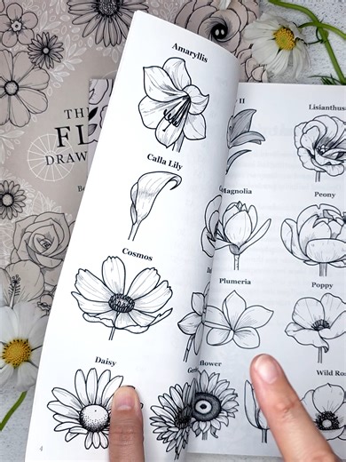 Step-by-Step Guide to Drawing a Cosmos Flower