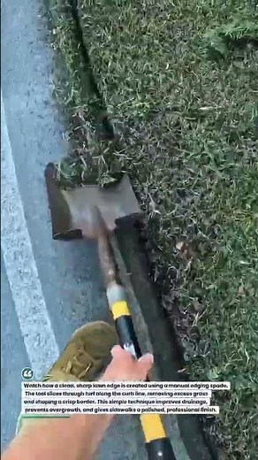 Clean Lawn Edging Like a Pro 🌿 #LawnCare #Landscaping #DIY