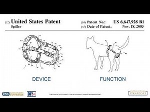 Provisional Patent Application (PPA) Drawings by Intellectual Strategies