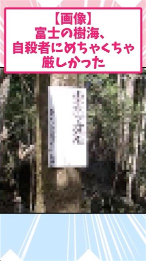 【悲報】樹海、自殺者に厳しかった【2ch面白スレ】