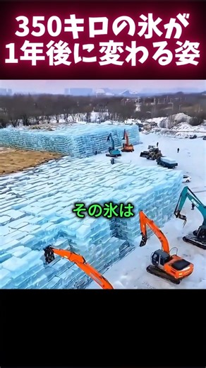 AIじゃない! 1年かけた氷の芸術の真実