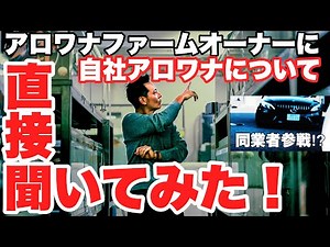 [Shop Visit] A farm owner and fellow trader came to Rafflesia! Tropical fish aquarium