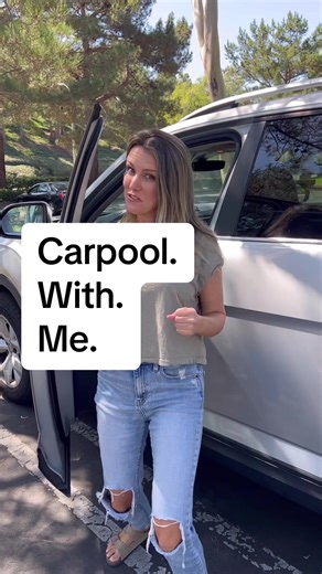 A Realistic Tour of a Mom's Car