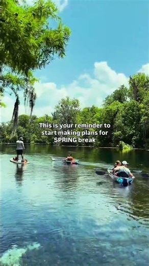 SPRING BREAK IS RIGHT AROUND THE CORNER! Make spring break 2026 the best one yet by planning your