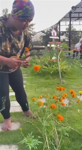 វីដេអូ​របស់ Tico jok (@tiko_tiktuk) ជាមួយ original sound - Kim tong - Kim Tong