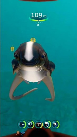 I finally got my Cuddlefish in Subnautica! 😍 #cuddlefish #subnautica #friends