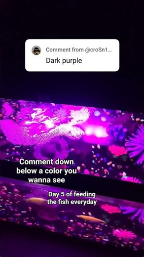 day 5 of the human feeding us fish