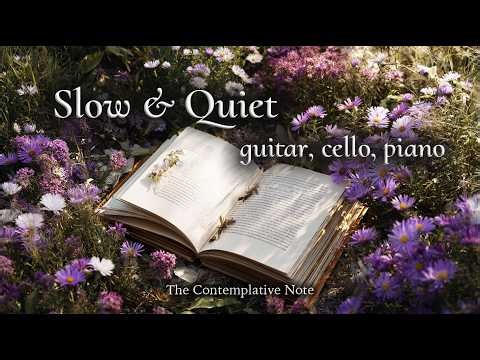 Among Spring Flowers 📚 Peaceful Guitar & Cello for Slow, Quiet Moments