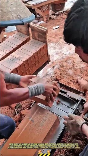 Cutting & Sizing Bricks for Precise Wall Construction