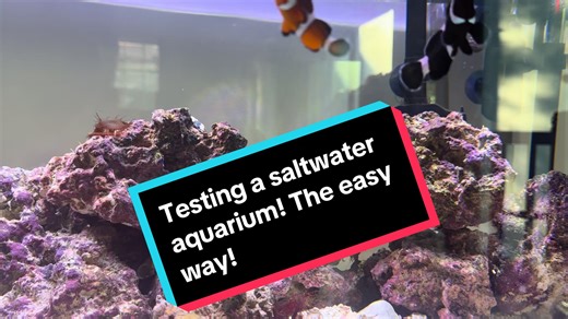 Testing a Saltwater Aquarium with Imagitarium Kit