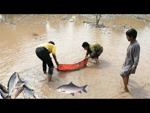 Kids Catching Fish in the River | Fun Fishing Moments