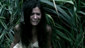 Ver Hawai 5.0 Online Espanol Temporada 1