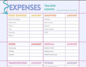 Spending Expenses Tracker Finance Planner, 3-page Printable PDF ,track Personal, Family, and Work Outgoings ,customizable With Blank Sheet - Etsy