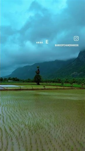 1G 2G 3G 4G 5G NO SERVER 📶📶📴