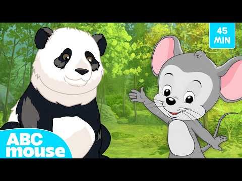 🐼 Giant Panda Adventure + More! | ABCmouse Search & Explore for Kids 🌍 45 Minutes