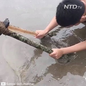 25M views · 94K reactions | Primitive Survival Skills: Looking For Food & Making Friction Fire  Credit:Survival Skills Primitive (goo.gl/EddhqG) | Taste Life | Facebook