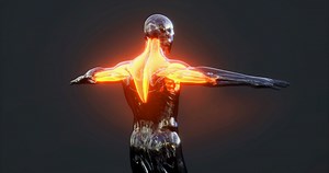 Detailed View Of Human Body Muscle Anatomy Stock Motion Graphics SBV-351805321 - Storyblocks