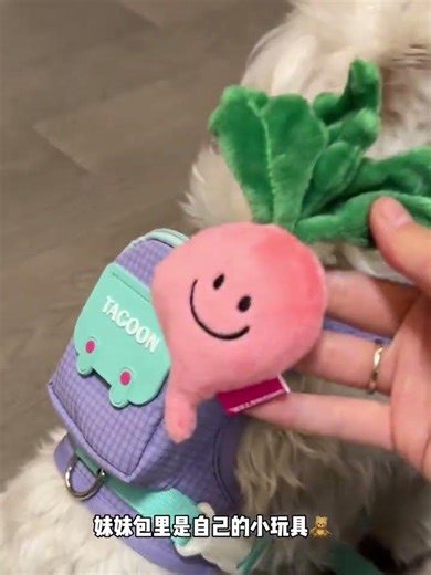 Finally found a nice and practical puppy schoolbag recommended to all dog sisters #Dog