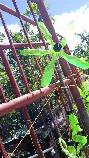 Sinay kud pay tannayaga amagen | Rosalyn Laguiwey Juan Leo