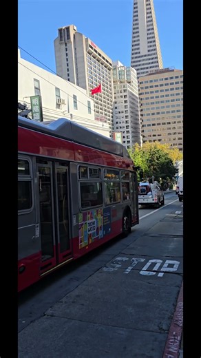 San Francisco on a Hop-on, Hop-off, Big Bus Tour. SF Muni Bus or self walking discovery of Chinatown
