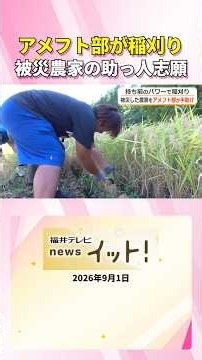 アメフト部が稲刈り 被災農家の助っ人志願