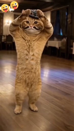 cat tum meri Tarah dance kar rahe ho 😂 #funny #trending #cat