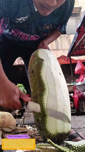 Peeling Power: Why Jackfruit Skin Holds the Key to Tropical Feasts