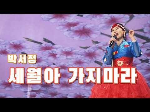 [가요로드] 세월아 가지 마라… 아직도 할 말이 많다 (박서정 - 세월아 가지마라)