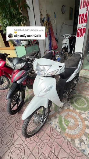 Wave 2025: trả lời '11,5 là có wave 2025'