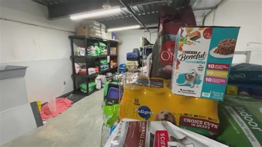 Berkshire Humane Society seeing surge in demand as donations decline