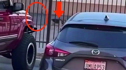 19K views · 622 reactions | Chills on Reels | Facebook