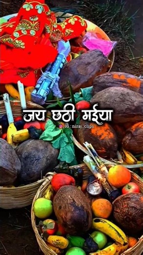 🙏🌻#hungergamestiktok #hungergamestiktok 🙏🌻