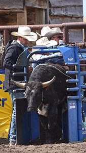 Twistin’ and turnin’ 📍 Hoover Hays Memorial Jackpot — 🤠 COWBOYS & CONTRACTORS: Tag yourselves or DM for credit — pinned comment goes to you. 💬 Conversation encouraged! 🚫 Leave a dick comment? Blocked faster than an open gate. Thx. 🐎 No animals harmed. All riders and livestock are professionals. 📌 Do not repost without explicit credit. 🎥 Captured, not generated. Shot on location, not in a server farm. #rodeo #rodeovideography #cowboyshit #steerwrestling | Hanging Horses