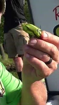 Frog Lure Secrets with Mark Stowe | Part 1